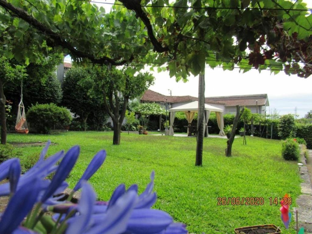 Casa De Sao Braz Villa Landim Eksteriør bilde